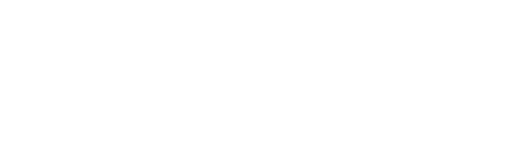 Wagon Network